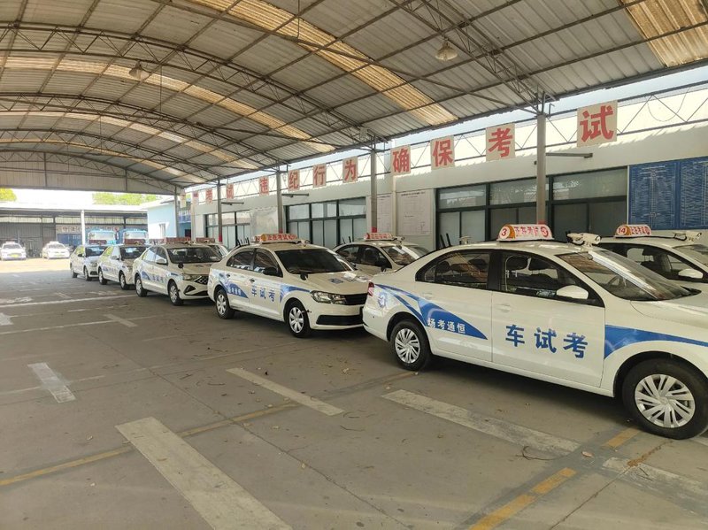 C1驾照:开启自由驾驶之旅